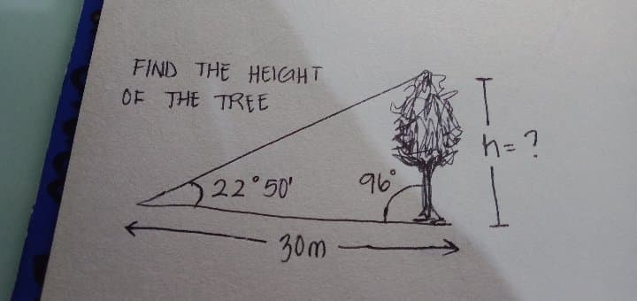 FIND THE HEIGHT
OF THE TREE
h= ?
22 50'
96
30m
2.
