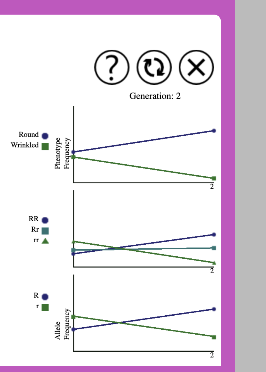 2)(X)
Generation: 2
Round
Wrinkled
RR
Rr
rr
R
Phenotype
Frequency
Allele
Frequency
