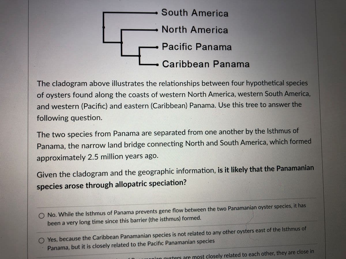 South America
North America
Pacific Panama
Caribbean Panama
The cladogram above illustrates the relationships between four hypothetical species
of oysters found along the coasts of western North America, western South America,
and western (Pacific) and eastern (Caribbean) Panama. Use this tree to answer the
following question.
The two species from Panama are separated from one another by the Isthmus of
Panama, the narrow land bridge connecting North and South America, which formed
approximately 2.5 million years ago.
Given the cladogram and the geographic information, is it likely that the Panamanian
species arose through allopatric speciation?
O No. While the Isthmus of Panama prevents gene flow between the two Panamanian oyster species, it has
been a very long time since this barrier (the isthmus) formed.
Yes, because the Caribbean Panamanian species is not related to any other oysters east of the Isthmus of
Panama, but it is closely related to the Pacific Panamanian species
nonian ovsters are most closely related to each other, they are close in
