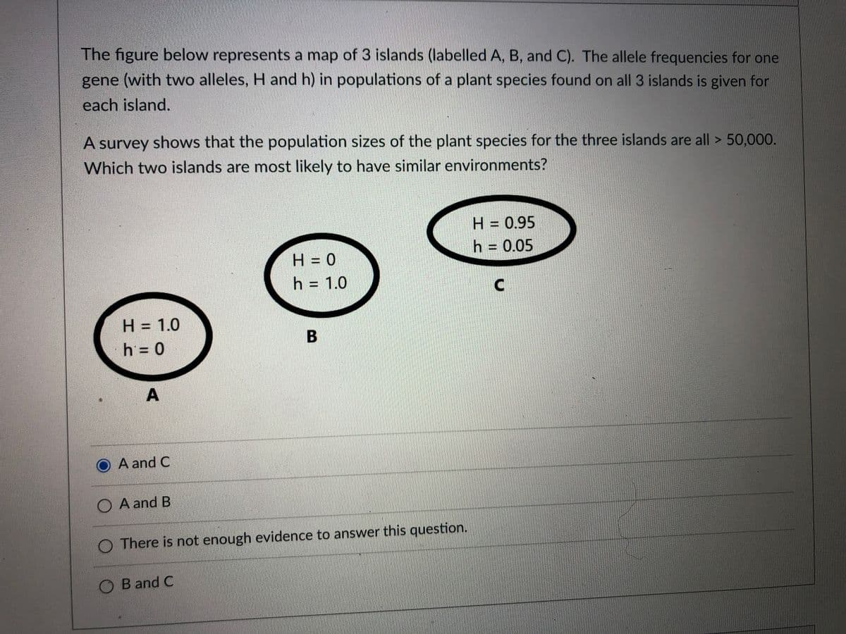 The figure below represents a map of 3 islands (labelled A, B, and C). The allele frequencies for one
gene (with two alleles, H and h) in populations of a plant species found on all 3 islands is given for
each island.
A survey shows that the population sizes of the plant species for the three islands are all > 50,000.
Which two islands are most likely to have similar environments?
H = 0.95
h = 0.05
%3D
H = 0
h = 1.0
H = 1.0
h = 0
O A and C
O A and B
O There is not enough evidence to answer this question.
B and C
A.
