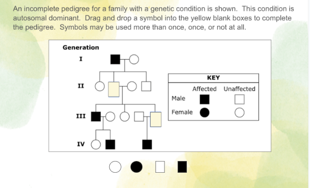 An incomplete pedigree for a family with a genetic condition is shown. This condition is
autosomal dominant. Drag and drop a symbol into the yellow blank boxes to complete
the pedigree. Symbols may be used more than once, once, or not at all.
Generation
I
II
III
IV
Sod
KEY
Affected Unaffected
Male
Female