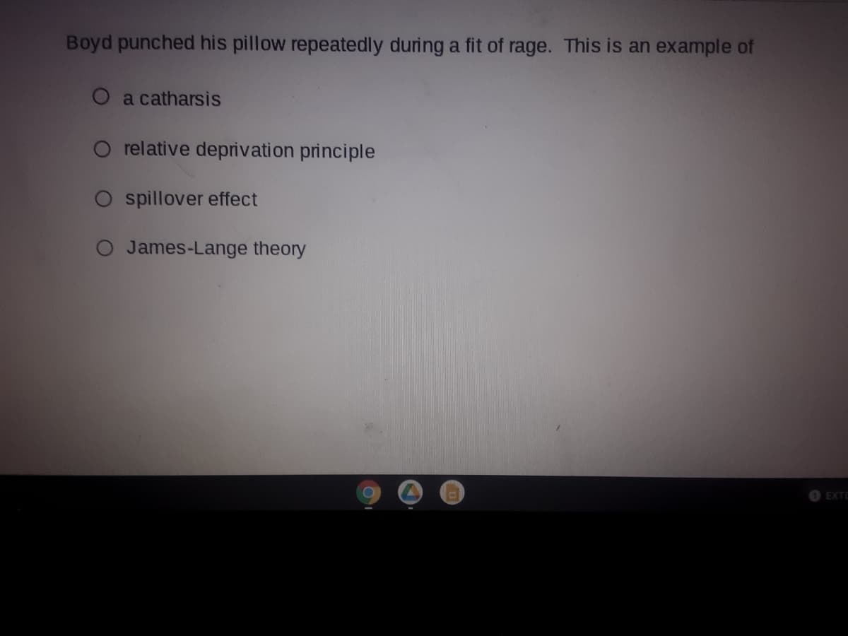 Boyd punched his pillow repeatedly during a fit of rage. This is an example of
a catharsis
relative deprivation principle
O spillover effect
O James-Lange theory
EXTO
