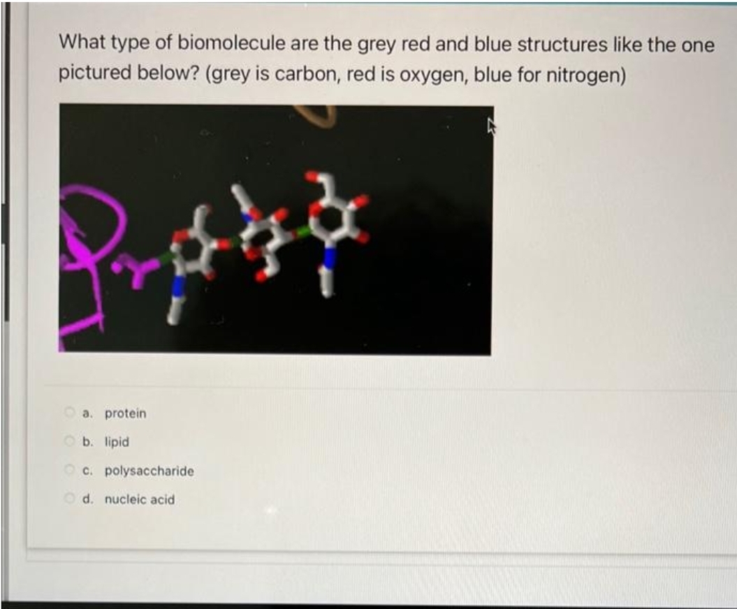 What type of biomolecule are the grey red and blue structures like the one
pictured below? (grey is carbon, red is oxygen, blue for nitrogen)
Brzd
a.
b. lipid
c. polysaccharide
protein
Od. nucleic acid.