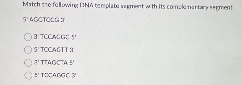 Match the following DNA template segment with its complementary segment.
5' AGGTCCG 3'
3' TCCAGGC 5'
5' TCCAGTT 3¹
3' TTAGCTA 5'
5' TCCAGGC 3'