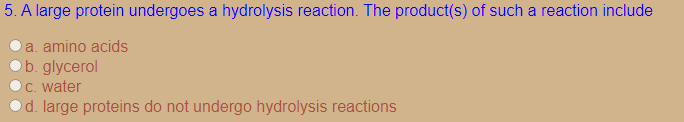 5. A large protein undergoes a hydrolysis reaction. The product(s) of such a reaction include
a. amino acids
b. glycerol
C. water
d. large proteins do not undergo hydrolysis reactions
