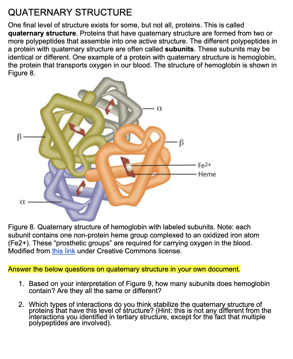 QUATERNARY STRUCTURE
One final level of structure exists for some, but not all, proteins. This is called
quaternary structure. Proteins that have quaternary structure are formed from two or
more polypeptides that assemble into one active structure. The different polypeptides in
a protein with quaternary structure are often called subunits. These subunits may be
identical or different. One example of a protein with quaternary structure is hemoglobin,
the protein that transports oxygen in our blood. The structure of hemoglobin is shown in
Figure 8.
B-
Fe2+
- Heme
a
Figure 8. Quaternary structure of hemoglobin with labeled subunits. Note: each
subunit contains one non-protein heme group complexed to an oxidized iron atom
(Fe2+). These “prosthetic groups" are required for carrying oxygen in the blood.
Modified from this link under Creative Commons license.
Answer the below questions on quaternary structure in your own document.
1. Based on your interpretation of Figure 9, how many subunits does hemoglobin
contain? Are they all the same or different?
2. Which types of interactions do you think stabilize the quaternary structure of
proteins that have this level of structure? (Hint: this is not any different from the
interactions you identified in tertiary structure, except for the fact that multiple
polypeptides are involved).
