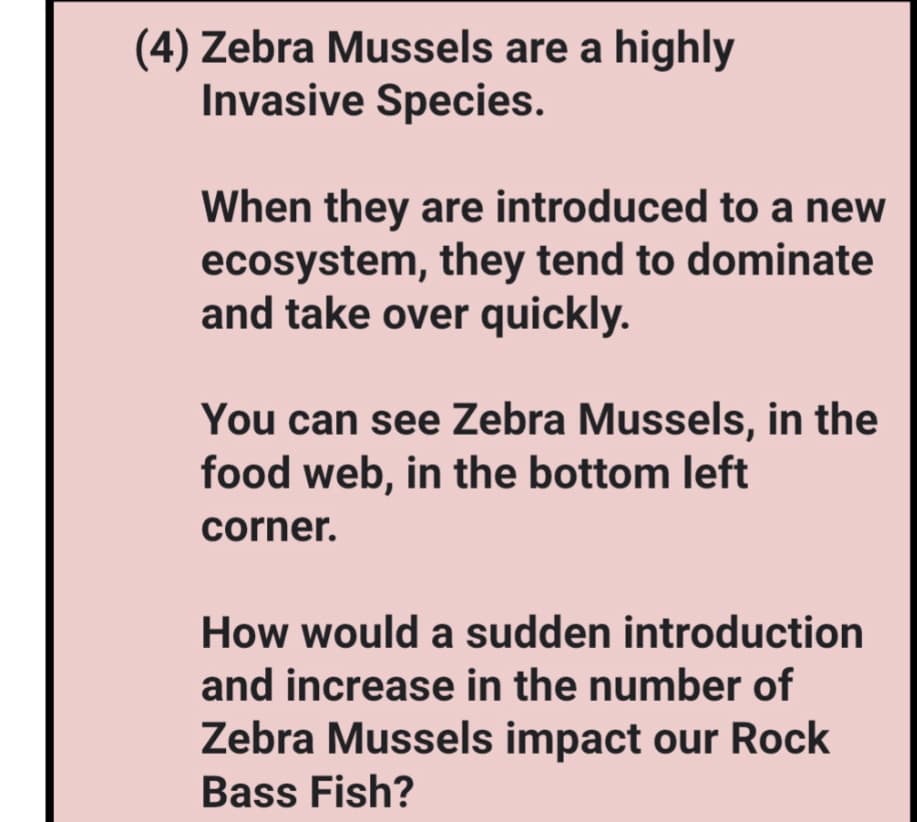 (4) Zebra Mussels are a highly
Invasive Species.
When they are introduced to a new
ecosystem, they tend to dominate
and take over quickly.
You can see Zebra Mussels, in the
food web, in the bottom left
corner.
How would a sudden introduction
and increase in the number of
Zebra Mussels impact our Rock
Bass Fish?