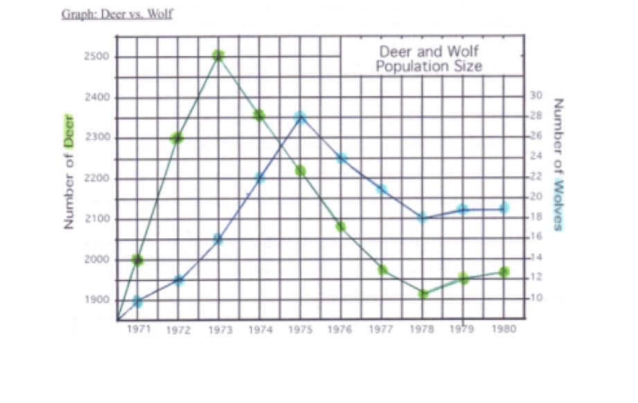 Graph: Deer vs, Wolf
Deer and Wolf
Population Size
2500
2400
30
-28
2300
26
24
2200
20
2100
18
16
2000
12
1900
10
1971 1972 1973 1974 1975 1976 1977 1978 1979 1980
Number of Wolves
Number of Deer
