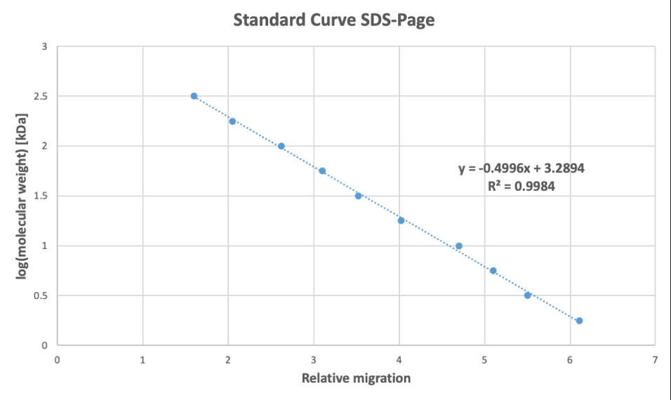 Standard Curve SDS-Page
3
2.5
2
y = -0.4996x + 3.2894
R2 = 0.9984
1.5
0.5
2
3
4
5
7
Relative migration
log(molecular weight) [kDa]

