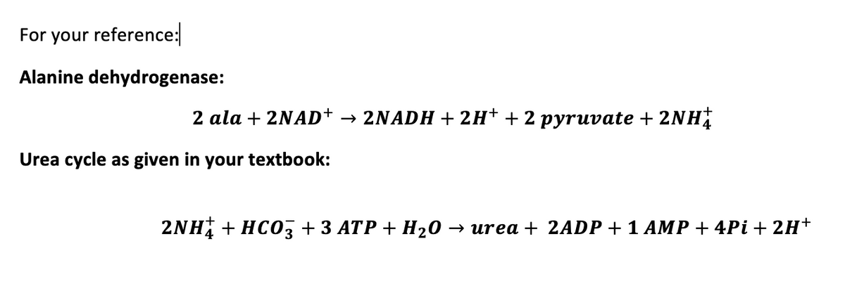 For your reference:
Alanine dehydrogenase:
2 ala + 2NAD+ → 2NADH + 2H* + 2 pyruvate + 2NH
Urea cycle as given in your textbook:
2NH + HCO3 + 3 ATP + H20 → urea + 2ADP+1 AMP + 4Pi + 2H†

