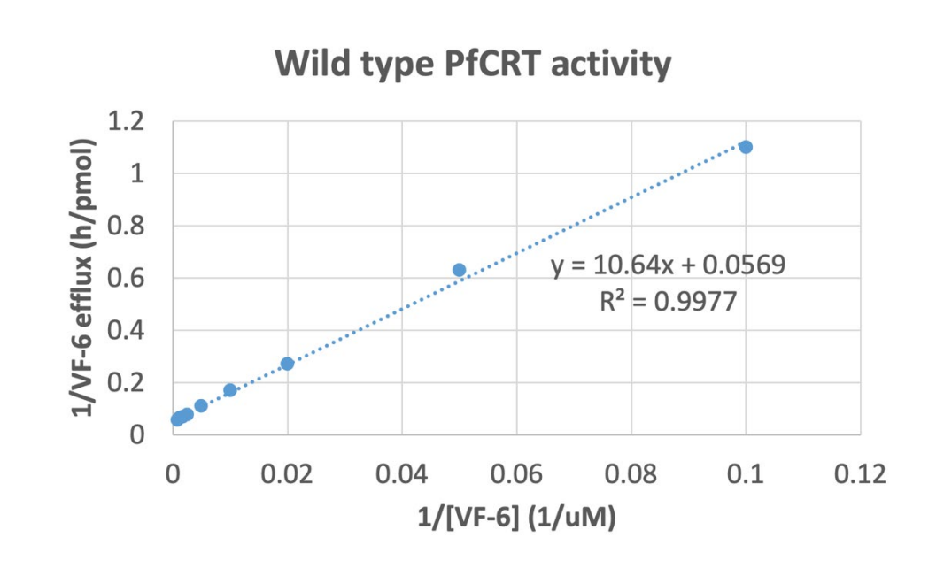Wild type PFCRT activity
1.2
1
0.8
y = 10.64x + 0.0569
R2 = 0.9977
0.6
0.4
0.2
0.02
0.04
0.06
0.08
0.1
0.12
1/[VF-6] (1/uM)
1/VF-6 efflux (h/pmol)
