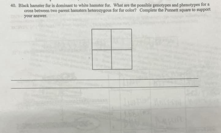 40. Black hamster fur is dominant to white hamster fur. What are the possible genotypes and phenotypes for a
cross between two parent hamsters heterozygous for fur color? Complete the Punnett square to support
your answer.
