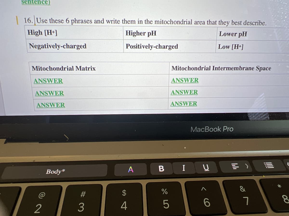 sentence)
16. Use these 6 phrases and write them in the mitochondrial area that they best describe.
High [H+]
Higher pH
Lower pH
Negatively-charged
Positively-charged
Low [H+]
Mitochondrial Matrix
ANSWER
ANSWER
ANSWER
2
Body*
#3
3
A
$
4
B
%
5
Mitochondrial Intermembrane Space
ANSWER
ANSWER
ANSWER
I
MacBook Pro
U
6
bb
&
7
8