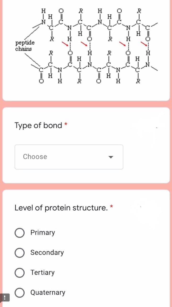 H.
|H||
peptide
chains
Type of bond *
Choose
Level of protein structure. *
Primary
Secondary
Tertiary
O Quaternary
RーU一エ
ヒーエ
一エ
エー2
エーリー
一エ
