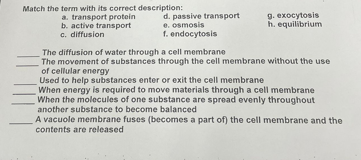 Match the term with its correct description:
a. transport protein
b. active transport
c. diffusion
d. passive transport
e. osmosis
f. endocytosis
g. exocytosis
h. equilibrium
The diffusion of water through a cell membrane
The movement of substances through the cell membrane without the use
of cellular energy
Used to help substances enter or exit the cell membrane
When energy is required to move materials through a cell membrane
When the molecules of one substance are spread evenly throughout
another substance to become balanced
A vacuole membrane fuses (becomes a part of) the cell membrane and the
contents are released