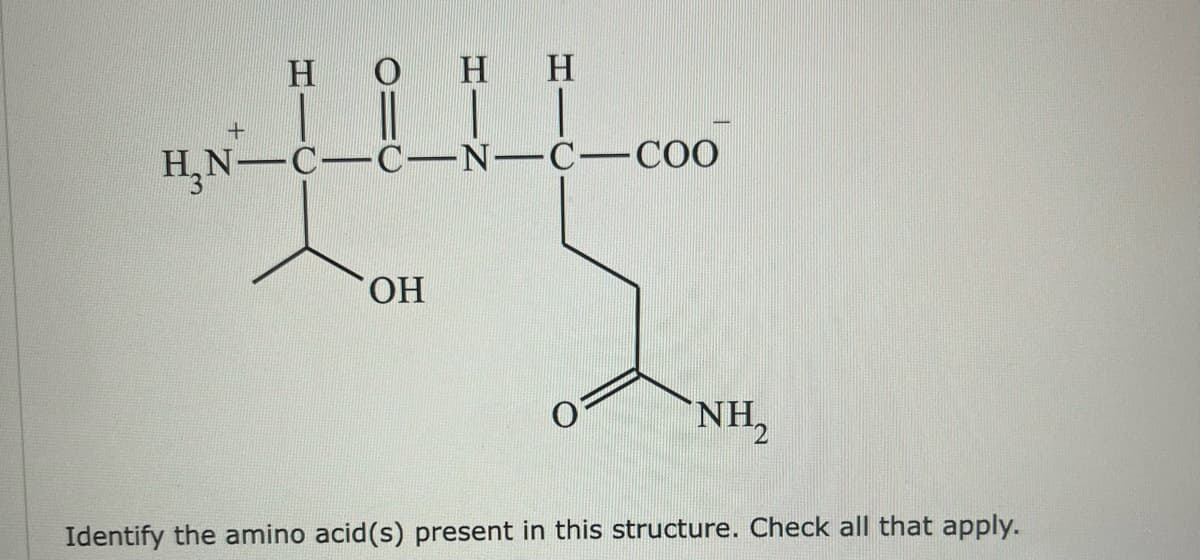+
H₂N
2
910
H H
C-N-C-COO
OH
NH₂
Identify the amino acid (s) present in this structure. Check all that apply.