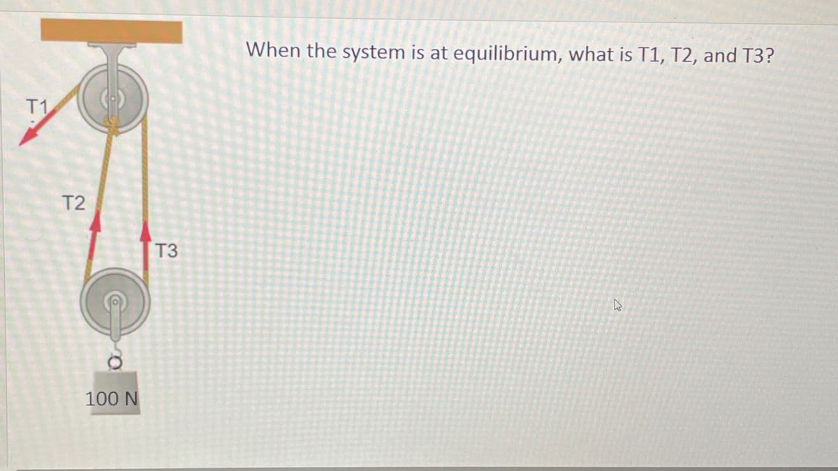 T1
12
T2
When the system is at equilibrium, what is T1, T2, and T3?
T3
13
100 N
B
