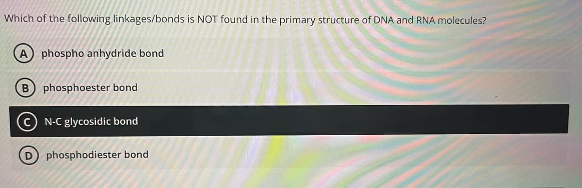 Which of the following linkages/bonds is NOT found in the primary structure of DNA and RNA molecules?
A
phospho anhydride bond
B phosphoester bond
(c) N-C glycosidic bond
phosphodiester bond
