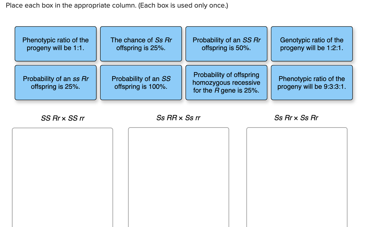 Place each box in the appropriate column. (Each box is used only once.)
Phenotypic ratio of the
progeny will be 1:1.
Probability of an ss Rr
offspring is 25%.
SS Rr x SS rr
The chance of Ss Rr
offspring is 25%.
Probability of an SS
offspring is 100%.
Probability of an SS Rr
offspring is 50%.
Probability of offspring
homozygous recessive
for the R gene is 25%.
Ss RR x Ss rr
Genotypic ratio of the
progeny will be 1:2:1.
Phenotypic ratio of the
progeny will be 9:3:3:1.
Ss Rrx Ss Rr
