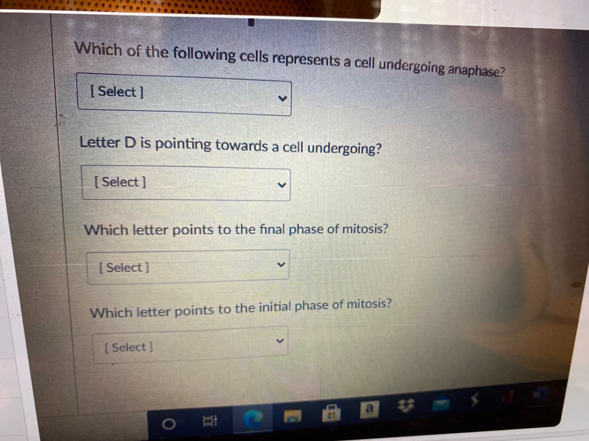 Which of the following cells represents a cell undergoing anaphase?
[ Select ]
Letter D is pointing towards a cell undergoing?
[ Select ]
Which letter points to the final phase of mitosis?
[ Select ]
Which letter points to the initial phase of mitosis?
[ Select ]
近
