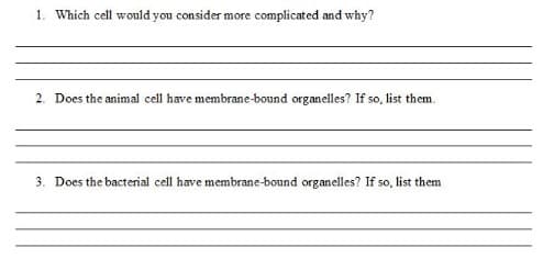 1. Which cell would you consider more complicated and why?
2. Does the animal cell have membrane-bound organelles? If so, list them.
3. Does the bacterial cell have membrane-bound organelles? If so, list them
