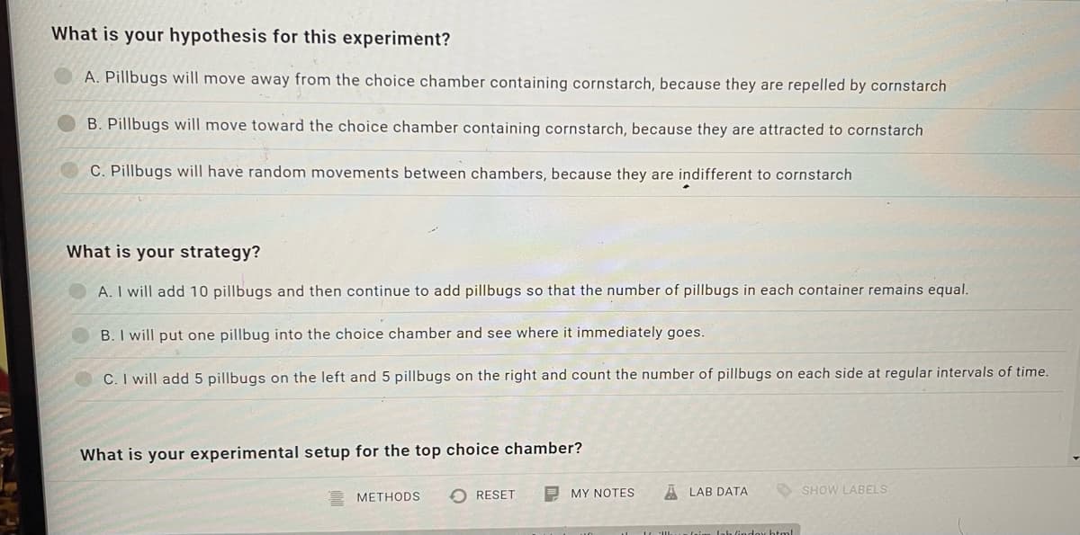 What is your hypothesis for this experiment?
A. Pillbugs will move away from the choice chamber containing cornstarch, because they are repelled by cornstarch
B. Pillbugs will move toward the choice chamber containing cornstarch, because they are attracted to cornstarch
C. Pillbugs will have random movements between chambers, because they are indifferent to cornstarch
What is your strategy?
A. I will add 10 pillbugs and then continue to add pillbugs so that the number of pillbugs in each container remains equal.
B. I will put one pillbug into the choice chamber and see where it immediately goes.
C. I will add 5 pillbugs on the left and 5 pillbugs on the right and count the number of pillbugs on each side at regular intervals of time.
What is your experimental setup for the top choice chamber?
RESET
METHODS
MY NOTES
ALAB DATA
SHOW LABELS
(im lab (indoy html