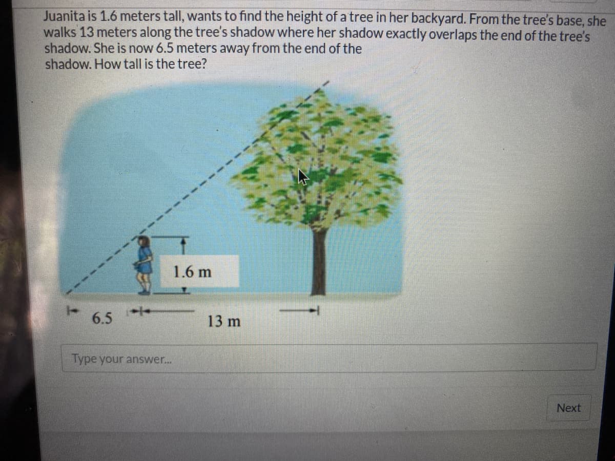 Juanita is 1.6 meters tall, wants to find the height of a tree in her backyard. From the tree's base, she
walks 13 meters along the tree's shadow where her shadow exactly overlaps the end of the tree's
shadow. She is now 6.5 meters away from the end of the
shadow. How tall is the tree?
1.6 m
6.5
13 m
Type your answer...
Next
