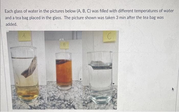 Each glass of water in the pictures below (A, B, C) was filled with different temperatures of water
and a tea bag placed in the glass. The picture shown was taken 3 min after the tea bag was
added.
