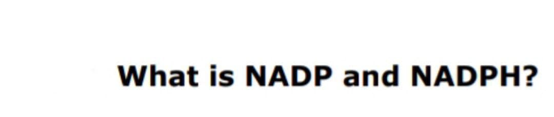 What is NADP and NADPH?
