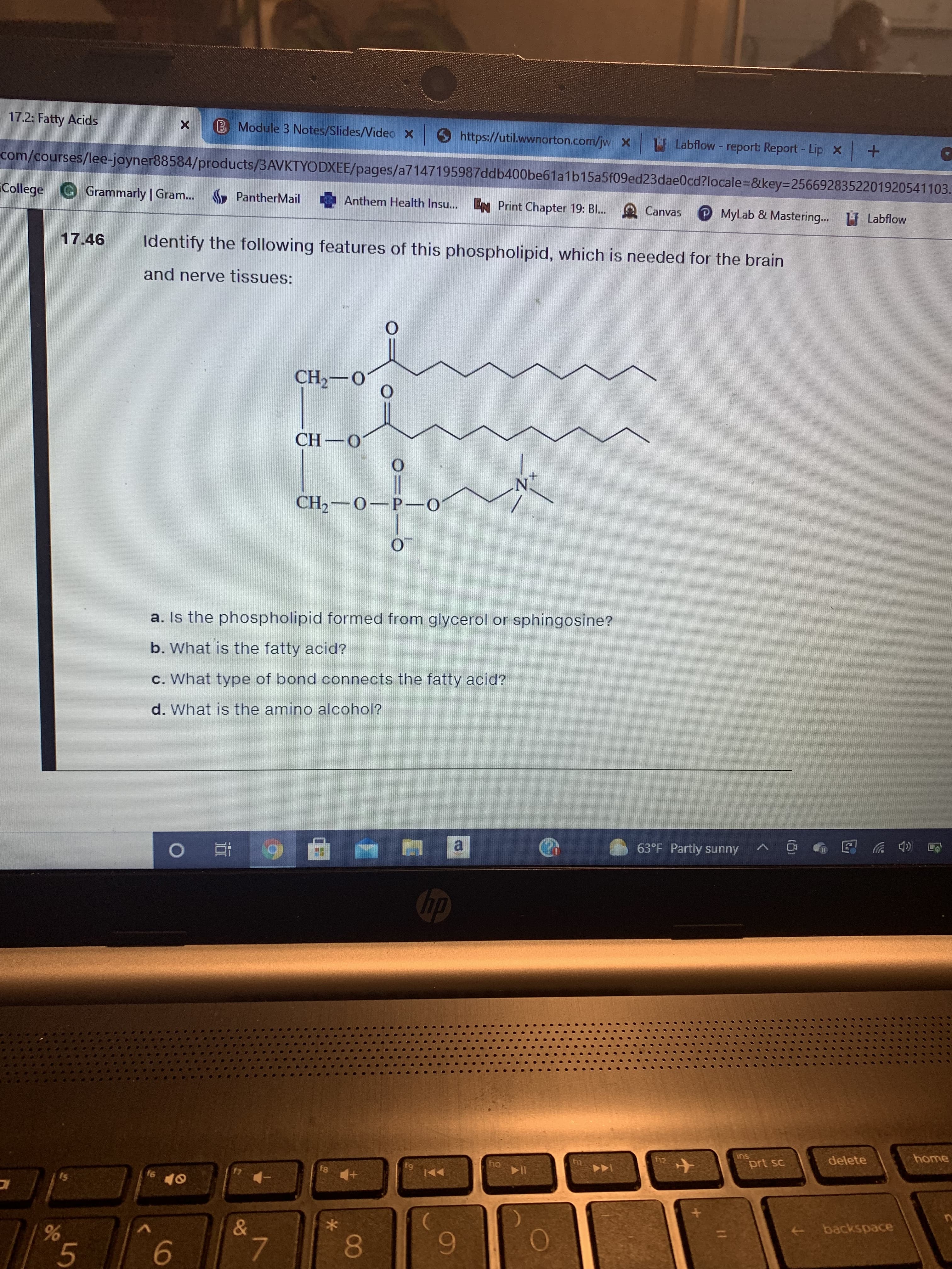 6
55
96
17.2: Fatty Acids
B Module 3 Notes/Slides/Video X
https://util.wwnorton.com/jwx U Labflow - report: Report - Lip x +
com/courses/lee-joyner88584/products/3AVKTYODXEE/pages/a7147195987ddb400be61a1b15a5f09ed23daeOcd?locale=D&key%3D2566928352201920541103.
College
Grammarly | Gram.. PantherMail
Anthem Health Insu... N Print Chapter 19: Bl... Canvas
PMyLab & Mastering... H Labflow
17.46
Identify the following features of this phospholipid, which is needed for the brain
and nerve tissues:
N.
0-d-0-H
a. Is the phospholipid formed from glycerol or sphingosine?
b. What is the fatty acid?
c. What type of bond connects the fatty acid?
d. What is the amino alcohol?
a
63°F Partly sunny
dy
home
SUI
prt sc
delete
61
I14
11
IC
backspace
7.
