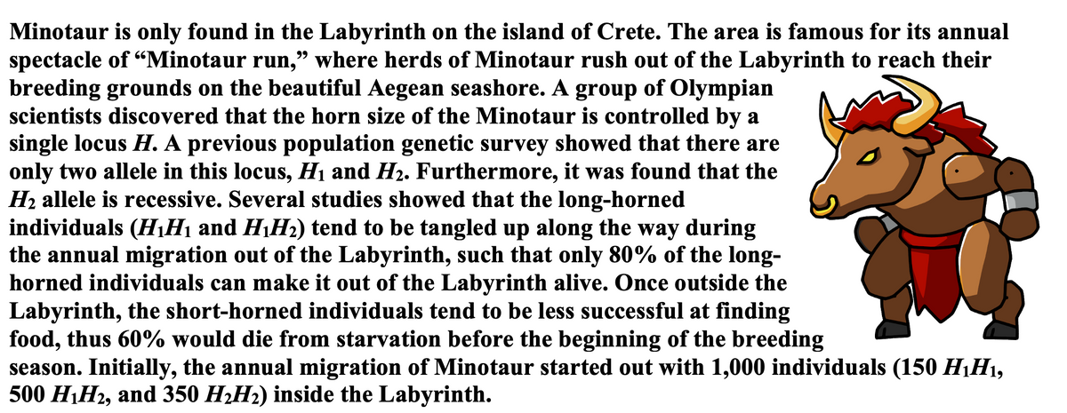 Minotaur is only found in the Labyrinth on the island of Crete. The area is famous for its annual
spectacle of "Minotaur run," where herds of Minotaur rush out of the Labyrinth to reach their
breeding grounds on the beautiful Aegean seashore. A group of Olympian
scientists discovered that the horn size of the Minotaur is controlled by a
single locus H. A previous population genetic survey showed that there are
only two allele in this locus, H1 and H2. Furthermore, it was found that the
H2 allele is recessive. Several studies showed that the long-horned
individuals (H,H1 and HH2) tend to be tangled up along the way during
the annual migration out of the Labyrinth, such that only 80% of the long-
horned individuals can make it out of the Labyrinth alive. Once outside the
Labyrinth, the short-horned individuals tend to be less successful at finding
food, thus 60% would die from starvation before the beginning of the breeding
season. Initially, the annual migration of Minotaur started out with 1,000 individuals (150 H,H1,
500 H¡H2, and 350 H2H2) inside the Labyrinth.
99

