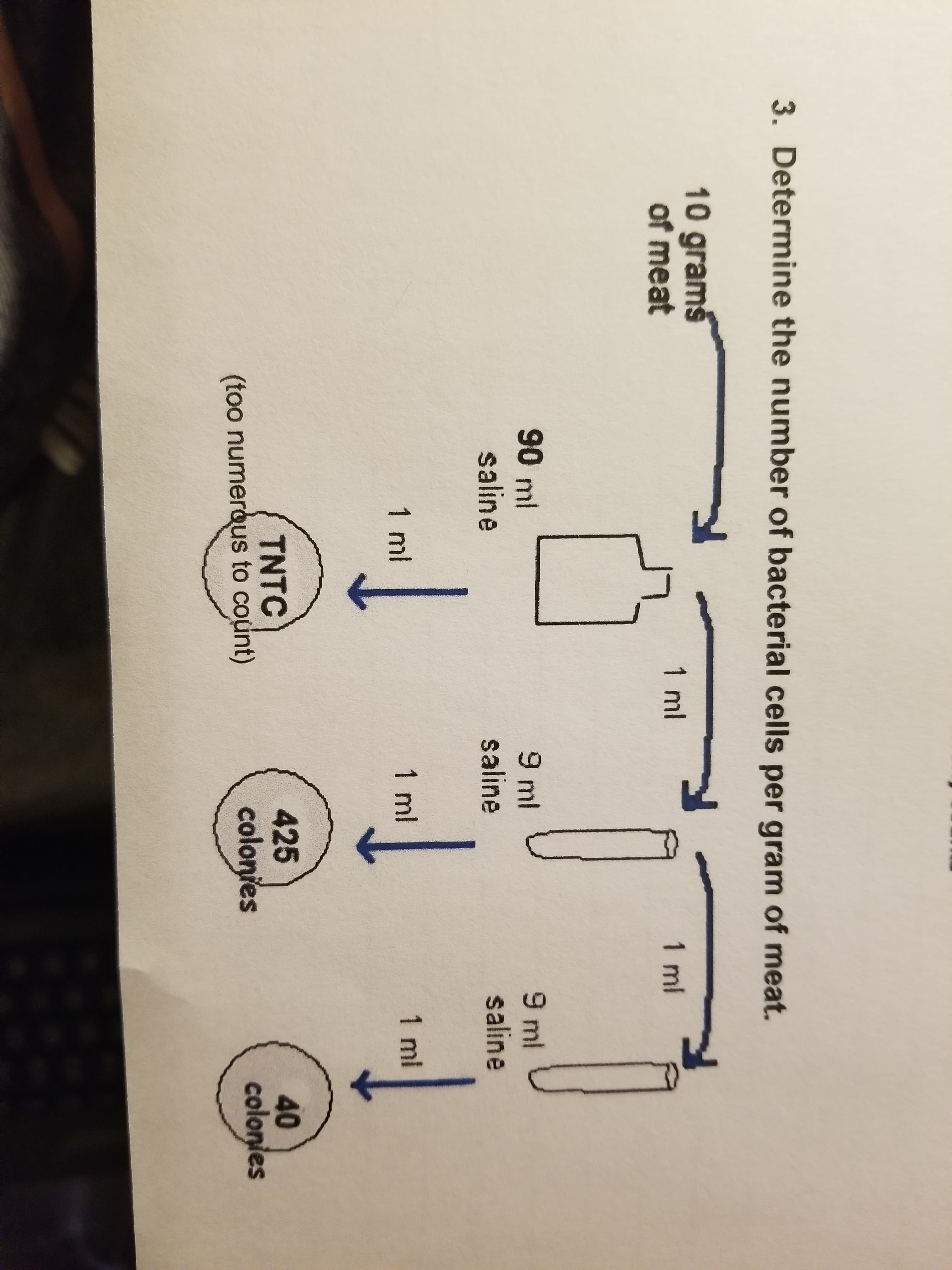 3. Determine the number of bacterial cells per gram of meat.
10 grams
of meat
1 ml
1 ml
9 ml
saline
90 ml
9 ml
saline
saline
1 ml
1 ml
1ml
TNTC
(too numerous to count)
425
colonies
40
colonies
