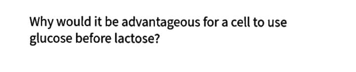 Why would it be advantageous for a cell to use
glucose before lactose?
