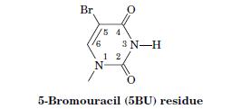 Br
5 4
3 N-H
1 2
5-Bromouracil (5BU) residue
