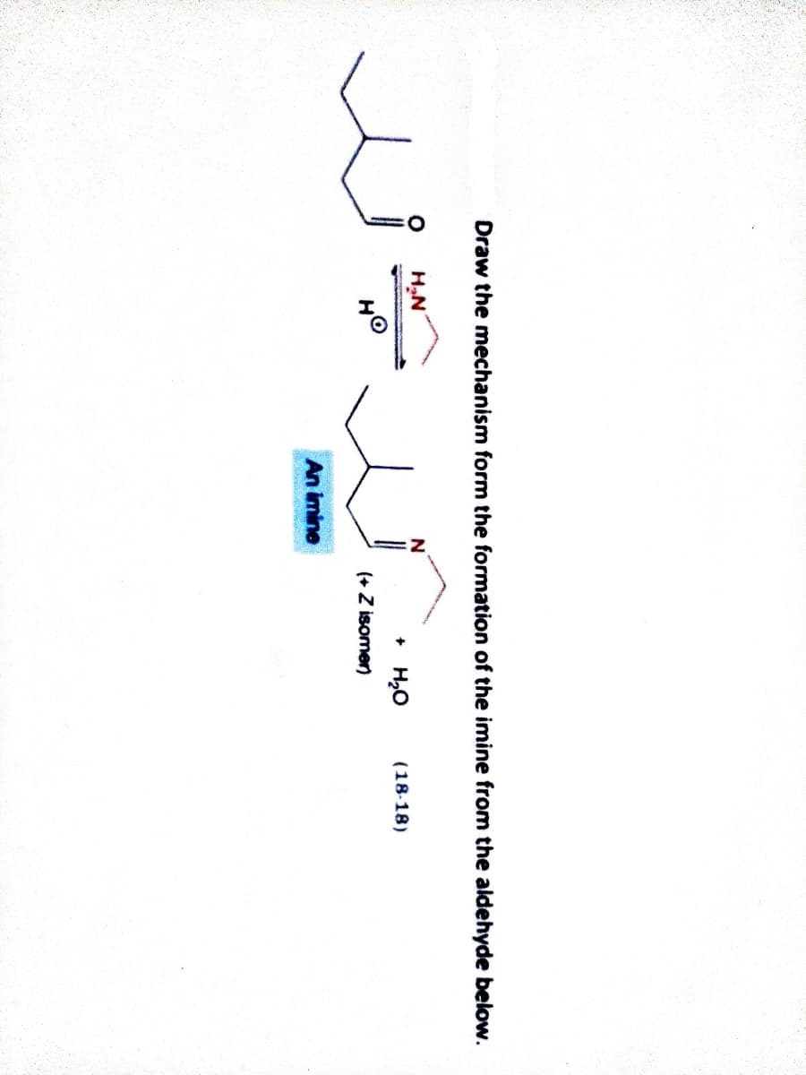 Draw the mechanism form the formation of the imine from the aldehyde below.
H.N
+ H20
(18-18)
(+ Z isomer)
An imine
