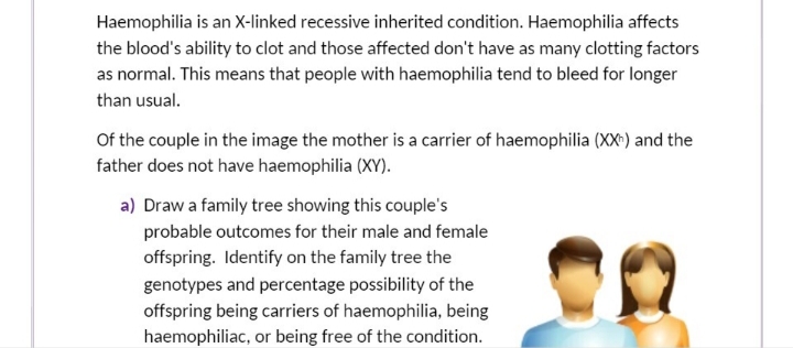 Haemophilia is an X-linked recessive inherited condition. Haemophilia affects
the blood's ability to clot and those affected don't have as many clotting factors
as normal. This means that people with haemophilia tend to bleed for longer
than usual.
Of the couple in the image the mother is a carrier of haemophilia (XX) and the
father does not have haemophilia (XY).
a) Draw a family tree showing this couple's
probable outcomes for their male and female
offspring. Identify on the family tree the
genotypes and percentage possibility of the
offspring being carriers of haemophilia, being
haemophiliac, or being free of the condition.