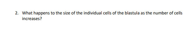 2. What happens to the size of the individual cells of the blastula as the number of cells
increases?
