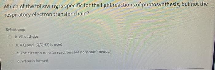 Which of the following is specific for the light reactions of photosynthesis, but not the
respiratory electron transfer chain?
Select one:
a. All of these
O b.AQ pool (o/QH2) is used.
OC. The electron transfer reactions are nonspontaneous.
d. Water is formed.
