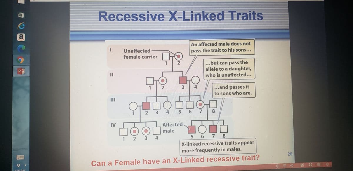 Recessive X-Linked Traits
a
An affected male does not
Unaffected
female carrier
pass the trait to his sons...
台-
1
...but can pass the
allele to a daughter,
who is unaffected...
P
%3D
1
4
...and passes it
to sons who are.
II
1
3 4
5 6 7
8.
Affected
male
IV
5 6 7 8
X-linked recessive traits appear
1
2 3 4
more frequently in males.
26
Can a Female have an X-Linked recessive trait?
豆
3.
