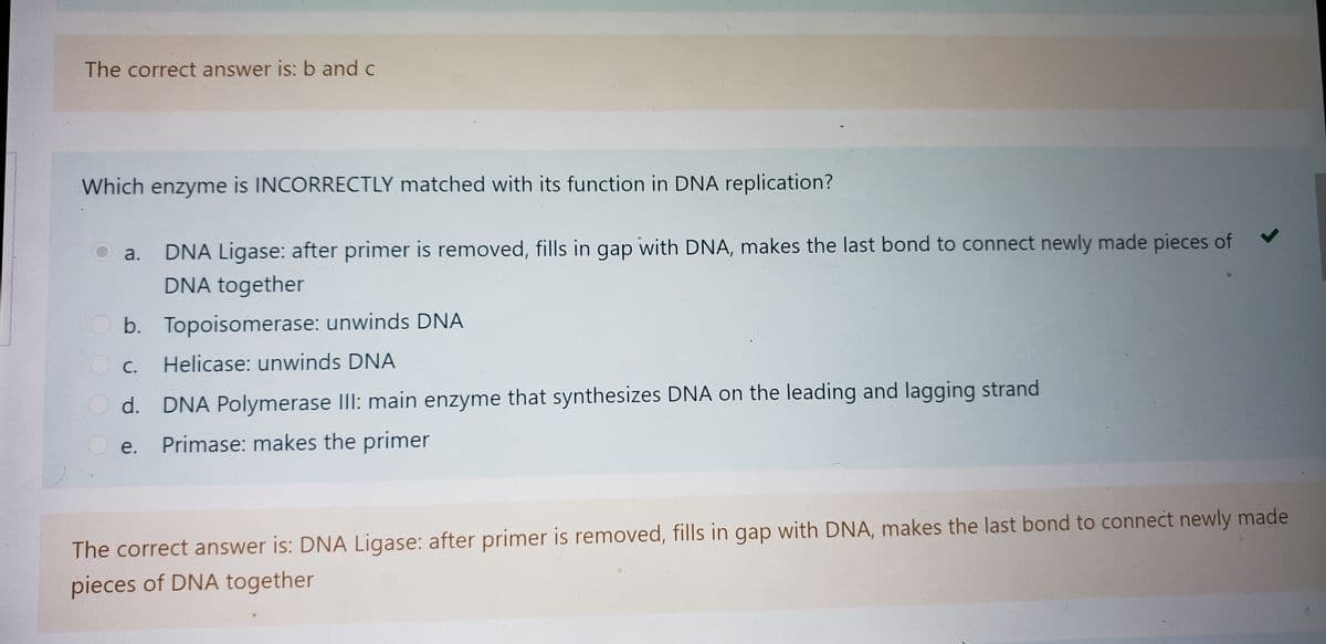 The correct answer is: b and c
Which enzyme is INCORRECTLY matched with its function in DNA replication?
DNA Ligase: after primer is removed, fills in gap with DNA, makes the last bond to connect newly made pieces of
DNA together
a.
b. Topoisomerase: unwinds DNA
O C.
Helicase: unwinds DNA
O d. DNA Polymerase IlI: main enzyme that synthesizes DNA on the leading and lagging strand
O e.
Primase: makes the primer
The correct answer is: DNA Ligase: after primer is removed, fills in gap with DNA, makes the last bond to connect newly made
pieces of DNA together
