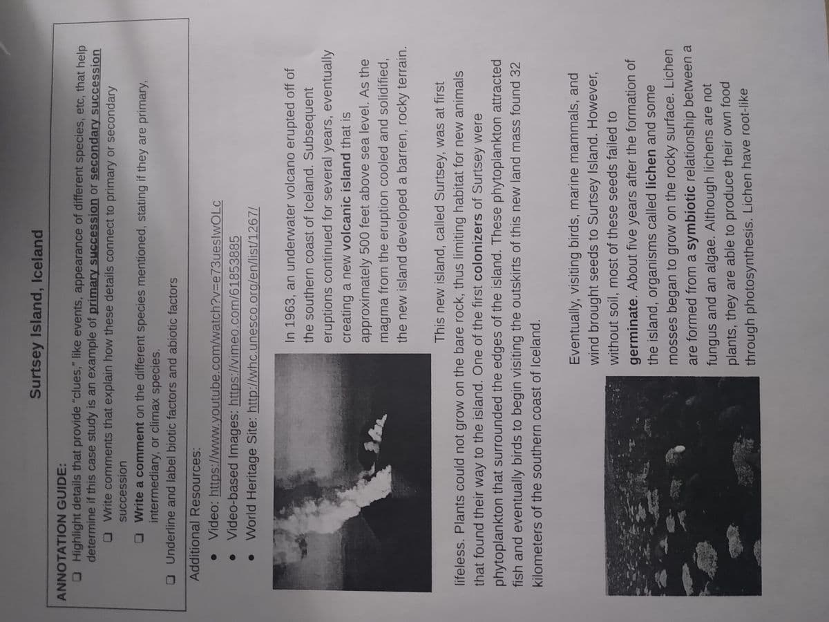 Surtsey Island, Iceland
ANNOTATION GUIDE:
Highlight details that provide "clues," like events, appearance of different species, etc, that help
determine if this case study is an example of primary succession or secondary succession
Write comments that explain how these details connect to primary or secondary
succession
Write a comment on the different species mentioned, stating if they are primary,
intermediary, or climax species.
Underline and label biotic factors and abiotic factors
Additional Resources:
Video: https://www.youtube.com/watch?v=e73ueslwOLc
Video-based Images: https://vimeo.com/61853885
World Heritage Site: http://whc.unesco.org/en/list/1267/
In 1963, an underwater volcano erupted off of
the southern coast of Iceland. Subsequent
eruptions continued for several years, eventually
creating a new volcanic island that is
approximately 500 feet above sea level. As the
magma from the eruption cooled and solidified,
the new island developed a barren, rocky terrain.
This new island, called Surtsey, was at first
lifeless. Plants could not grow on the bare rock, thus limiting habitat for new animals
that found their way to the island. One of the first colonizers of Surtsey were
phytoplankton that surrounded the edges of the island. These phytoplankton attracted
fish and eventually birds to begin visiting the outskirts of this new land mass found 32
kilometers of the southern coast of Iceland.
Eventually, visiting birds, marine mammals, and
wind brought seeds to Surtsey Island. However,
without soil, most of these seeds failed to
germinate. About five years after the formation of
the island, organisms called lichen and some
mosses began to grow on the rocky surface. Lichen
are formed from a symbiotic relationship between a
fungus and an algae. Although lichens are not
plants, they are able to produce their own food
through photosynthesis. Lichen have root-like