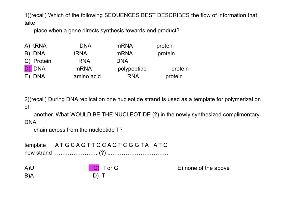 1)(recall) Which of the following SEQUENCES BEST DESCRIBES the flow of information that
take
place when a gene directs synthesis towards end product?
A) TRNA
B) DNA
C) Protein
D) DNA
DNA
MRNA
protein
TRNA
MRNA
protein
RNA
DNA
MRNA
polypeptide
protein
protein
E) DNA
amino acid
RNA
2)(recall) During DNA replication one nucleotide strand is used as a template for polymerization
of
another. What WOULD BE THE NUCLEOTIDE (?) in the newly synthesized complimentary
DNA
chain across from the nucleotide T?
template
ATGCAGTTCCAGTC GGTA ATG
new strand
(?)
A)U
C) T or G
E) none of the above
B)A
D) T
