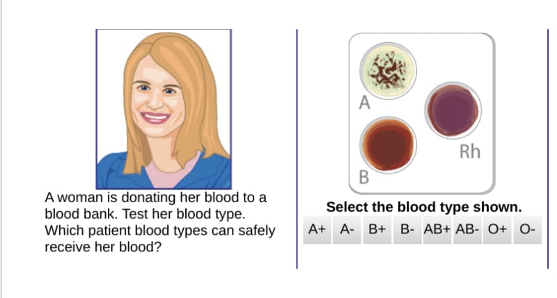 A
Rh
A woman is donating her blood to a
blood bank. Test her blood type.
Which patient blood types can safely
receive her blood?
Select the blood type shown.
A+ A- B+ B- AB+ AB- O+ O-
