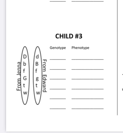 CHILD #3
Genotype Phenotype
t
From Edward
w/
From Jenna
