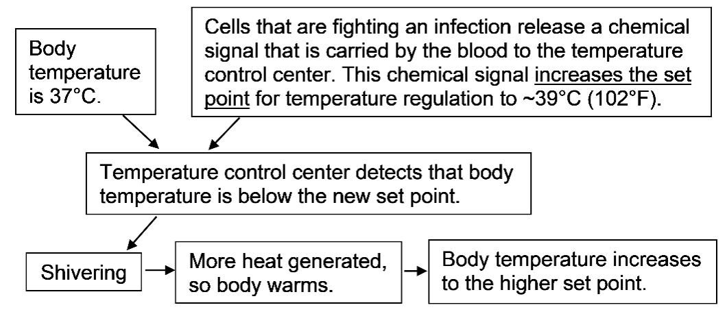 Body
temperature
is 37°C.
Cells that are fighting an infection release a chemical
signal that is carried by the blood to the temperature
control center. This chemical signal increases the set
point for temperature regulation to ~39°C (102°F).
Temperature control center detects that body
temperature is below the new set point.
More heat generated,
so body warms.
Body temperature increases
to the higher set point.
Shivering
