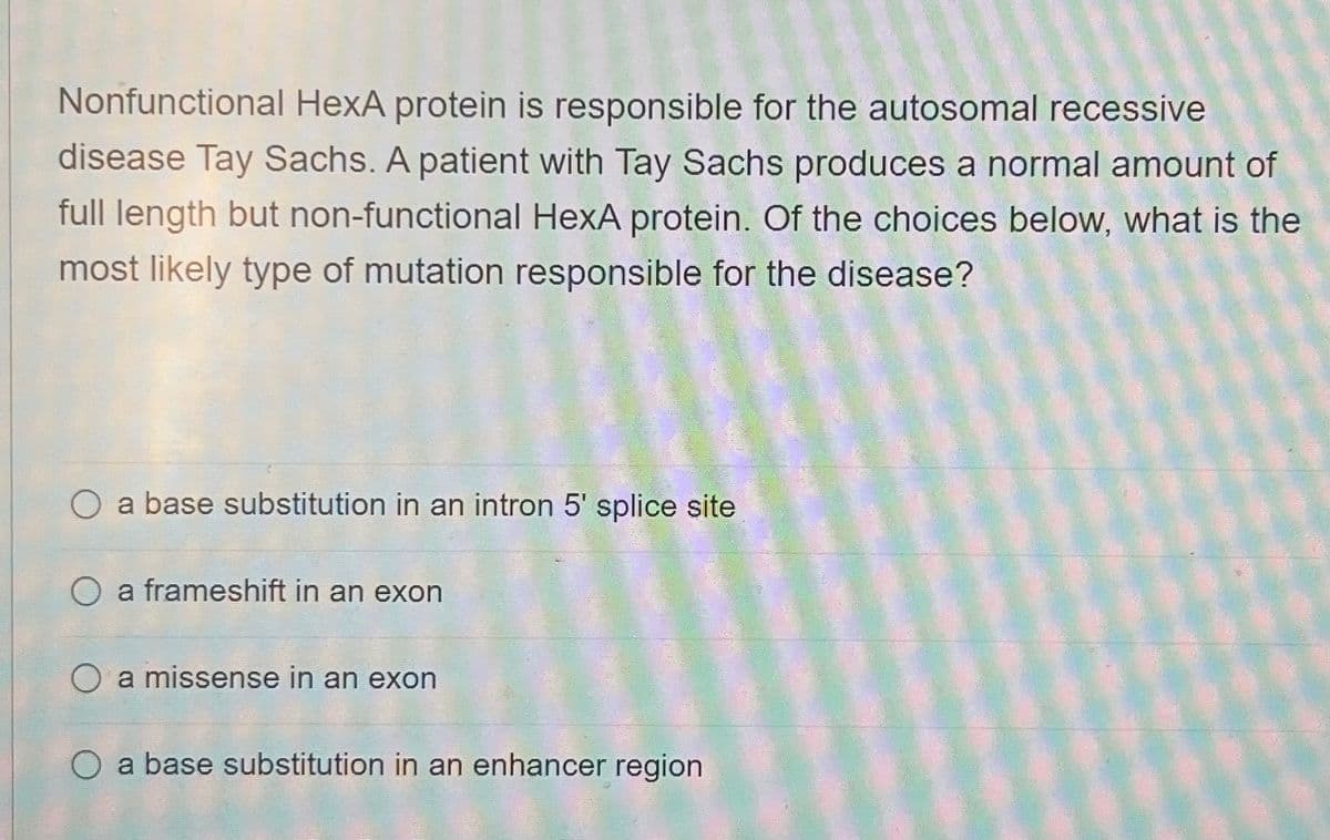 Nonfunctional HexA protein is responsible for the autosomal recessive
disease Tay Sachs. A patient with Tay Sachs produces a normal amount of
full length but non-functional HexA protein. Of the choices below, what is the
most likely type of mutation responsible for the disease?
O a base substitution in an intron 5' splice site.
a frameshift in an exon
O a missense in an exon
O a base substitution in an enhancer region