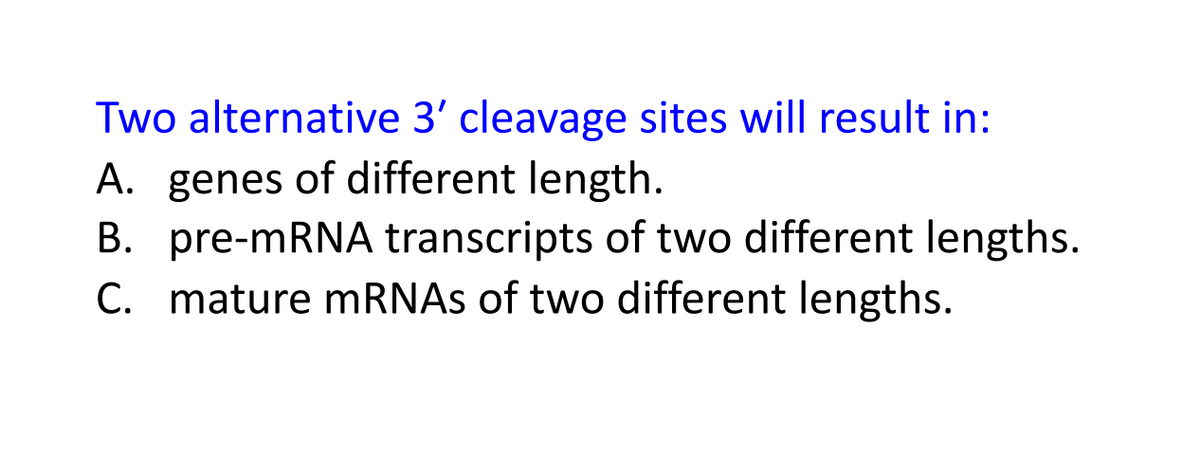 Two alternative 3' cleavage sites will result in:
A. genes of different length.
B. pre-mRNA transcripts of two different lengths.
C. mature mRNAs of two different lengths.