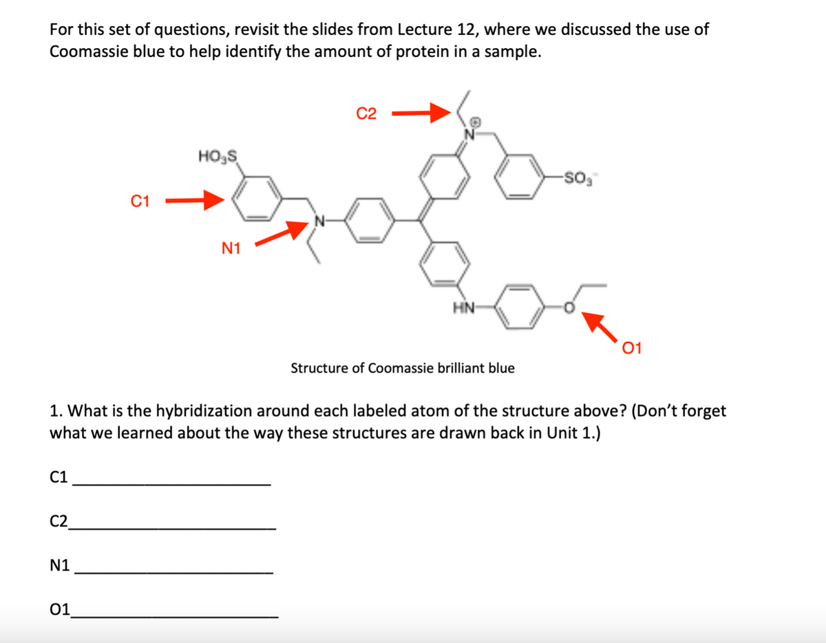 For this set of questions, revisit the slides from Lecture 12, where we discussed the use of
Coomassie blue to help identify the amount of protein in a sample.
C2
HO,S
C1
N1
HN
01
Structure of Coomassie brilliant blue
1. What is the hybridization around each labeled atom of the structure above? (Don't forget
what we learned about the way these structures are drawn back in Unit 1.)
C1
C2_
N1
01
