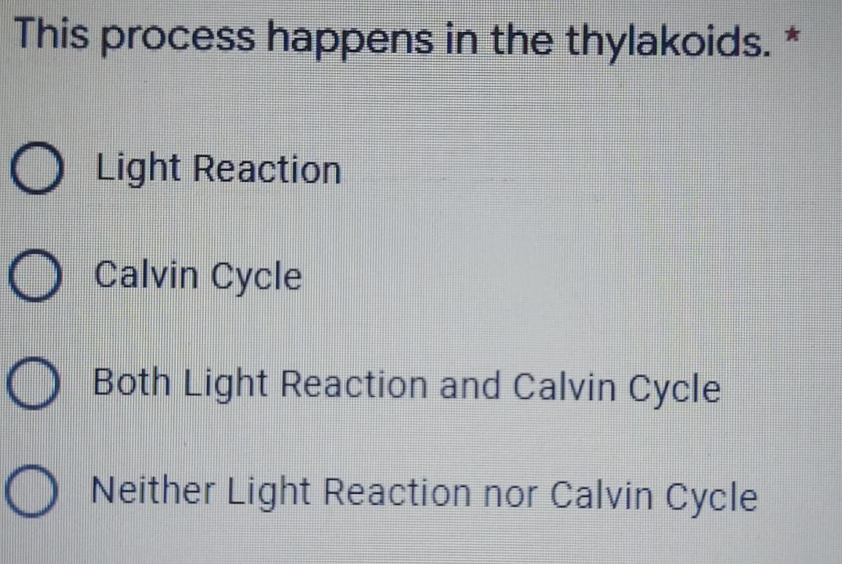 This process happens in the thylakoids. "
O Light Reaction
O Calvin Cycle
O Both Light Reaction and Calvin Cycle
O Neither Light Reaction nor Calvin Cycle

