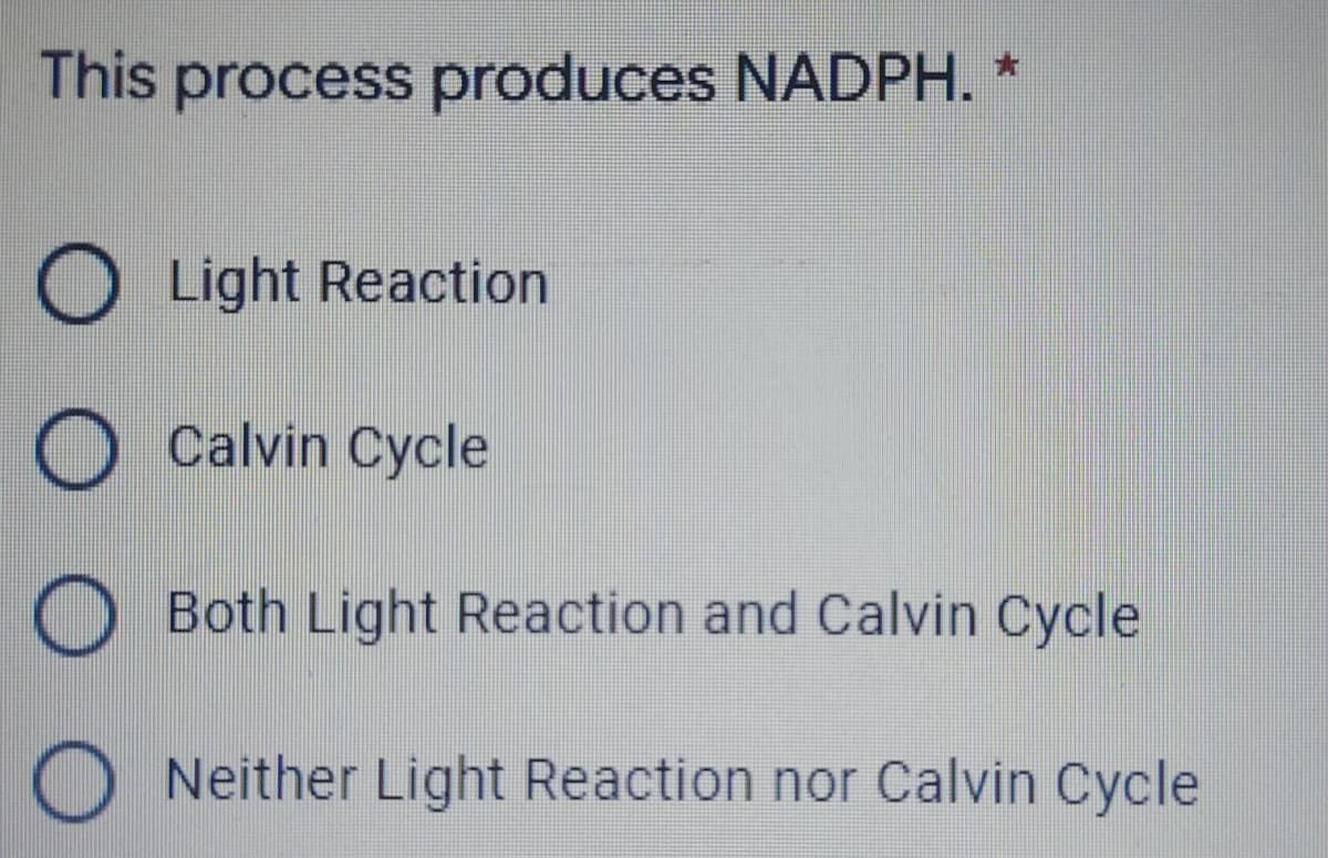 This process produces NADPH. *
O Light Reaction
O Calvin Cycle
O Both Light Reaction and Calvin Cycle
O Neither Light Reaction nor Calvin Cycle
